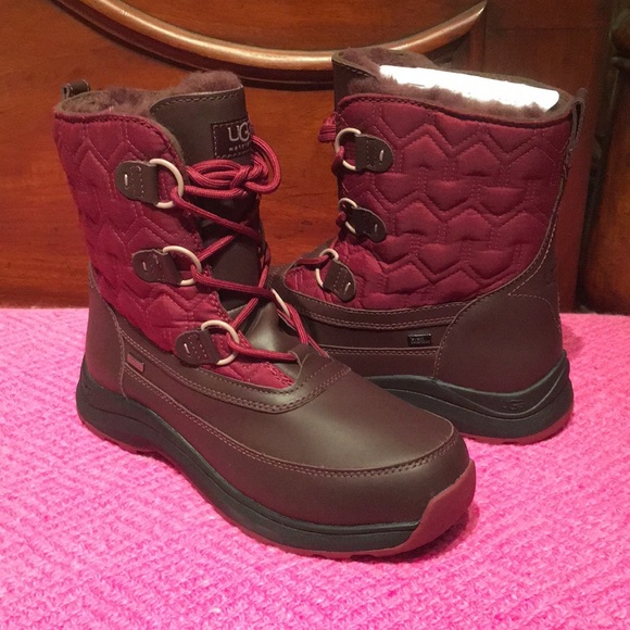 ugg women's lachlan winter boot